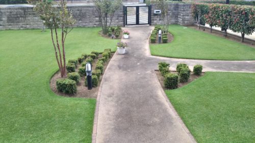 芝生の冬！いつまで緑を保てるの🤔