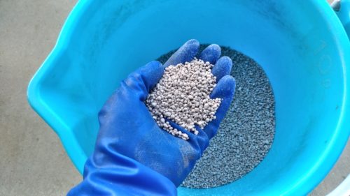 芝生に固形と液体肥料を組み合わせて効果を倍増させる方法😃✨