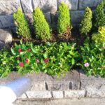 写真でわかる花壇の土をふかふかに再生する方法😃✨