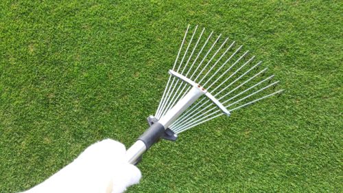 芝生のサッチングをレーキで簡単に行う方法😃✨