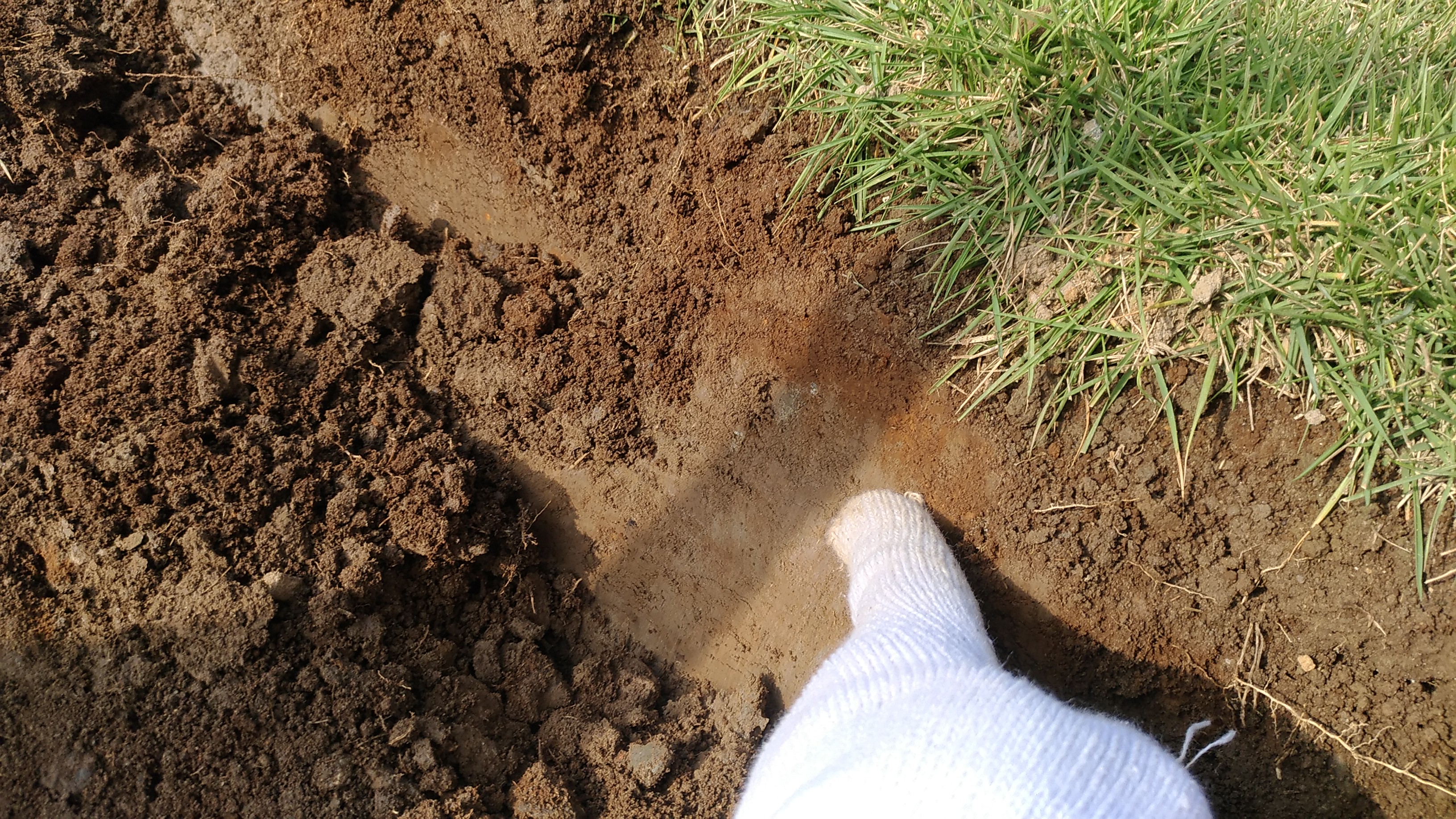 芝生を張る前にすべき土壌改良の方法😃✨