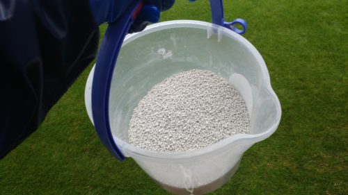 芝生に肥料を撒く時期😃✨