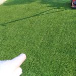 芝刈りの縞模様!クリップ痕は密度の上がった証拠😃✨