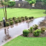 芝生の手入れ!梅雨の前にすべき作業😃✨