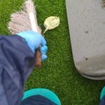 芝生の手入れ!梅雨に気をつけることはこれだ😃✨