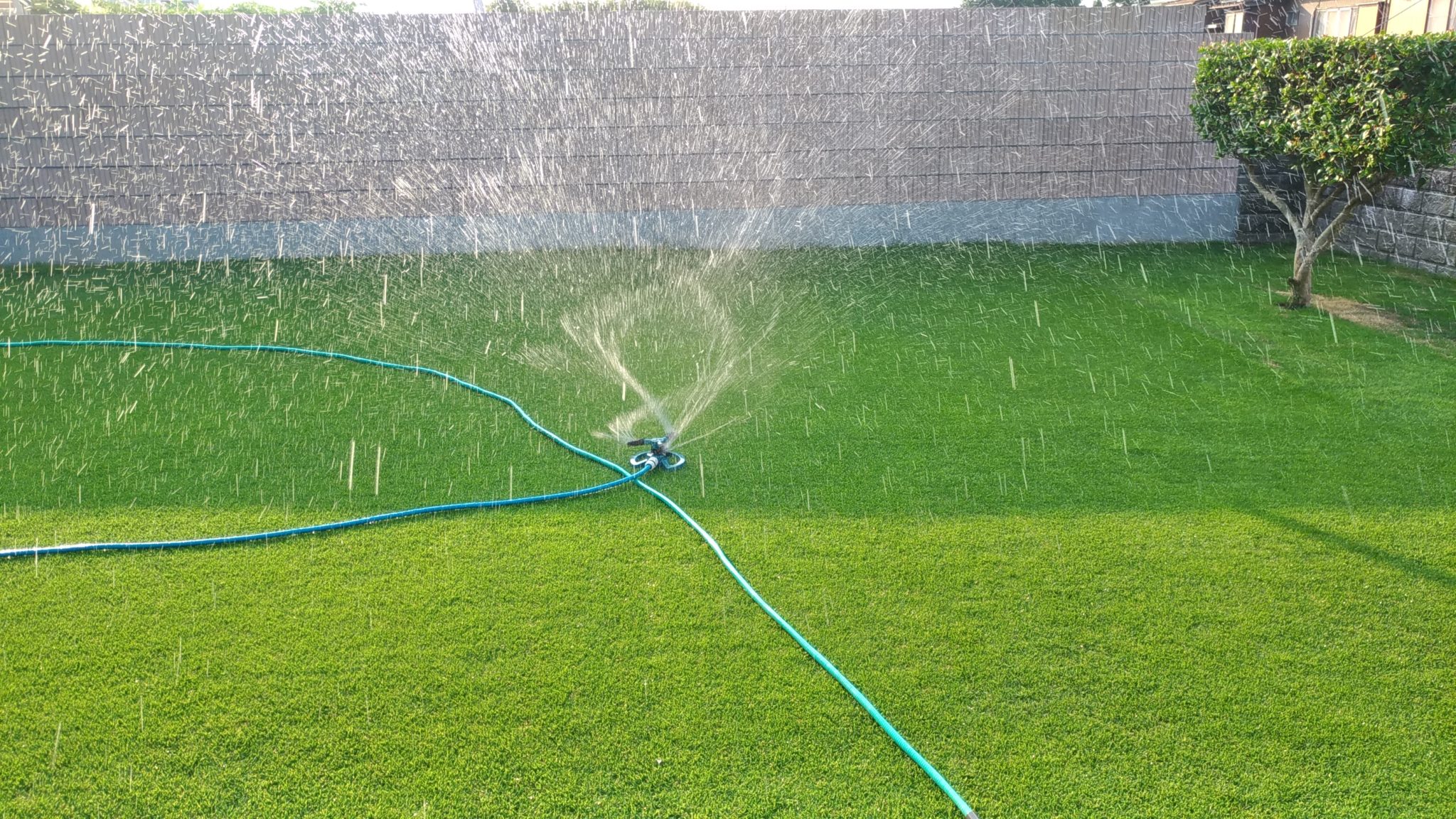 芝生の水やりにスプリンクラー? | 芝生パラダイス