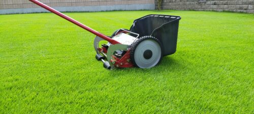 ［Q&A］芝生の低刈りを教えてください😄✨【stand.fm】