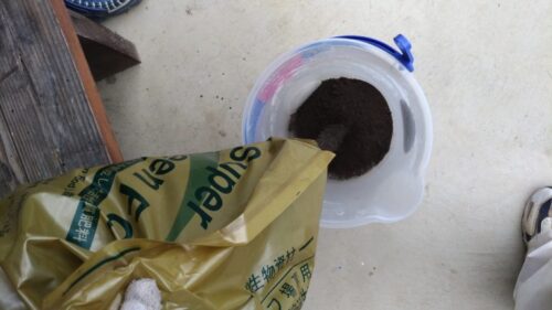 ［Q&A］スーパーグリーンフードの臭いが気になる✨【stand.fm】