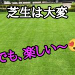 芝生は大変!だけど楽しい【stand.fm】