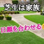 芝生は家族【stand.fm】