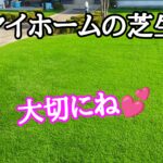 マイホームの芝生を大切に【stand.fm】