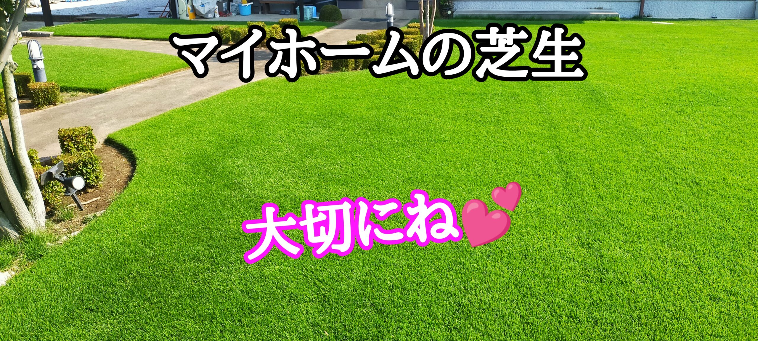 マイホームの芝生を大切に【stand.fm】