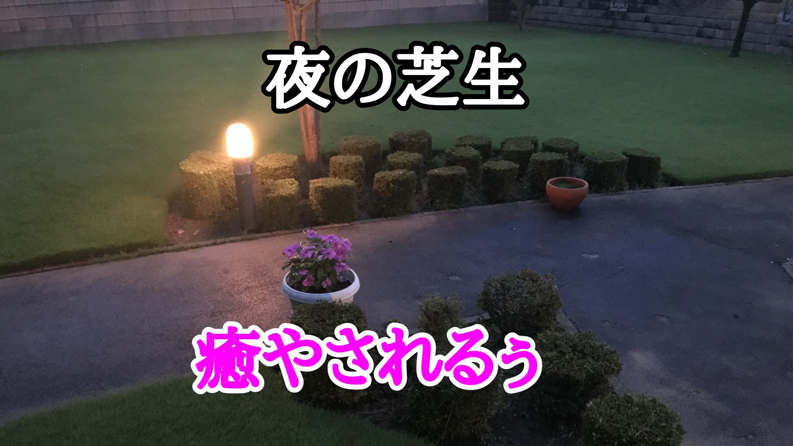 夜の芝生【stand.fm】