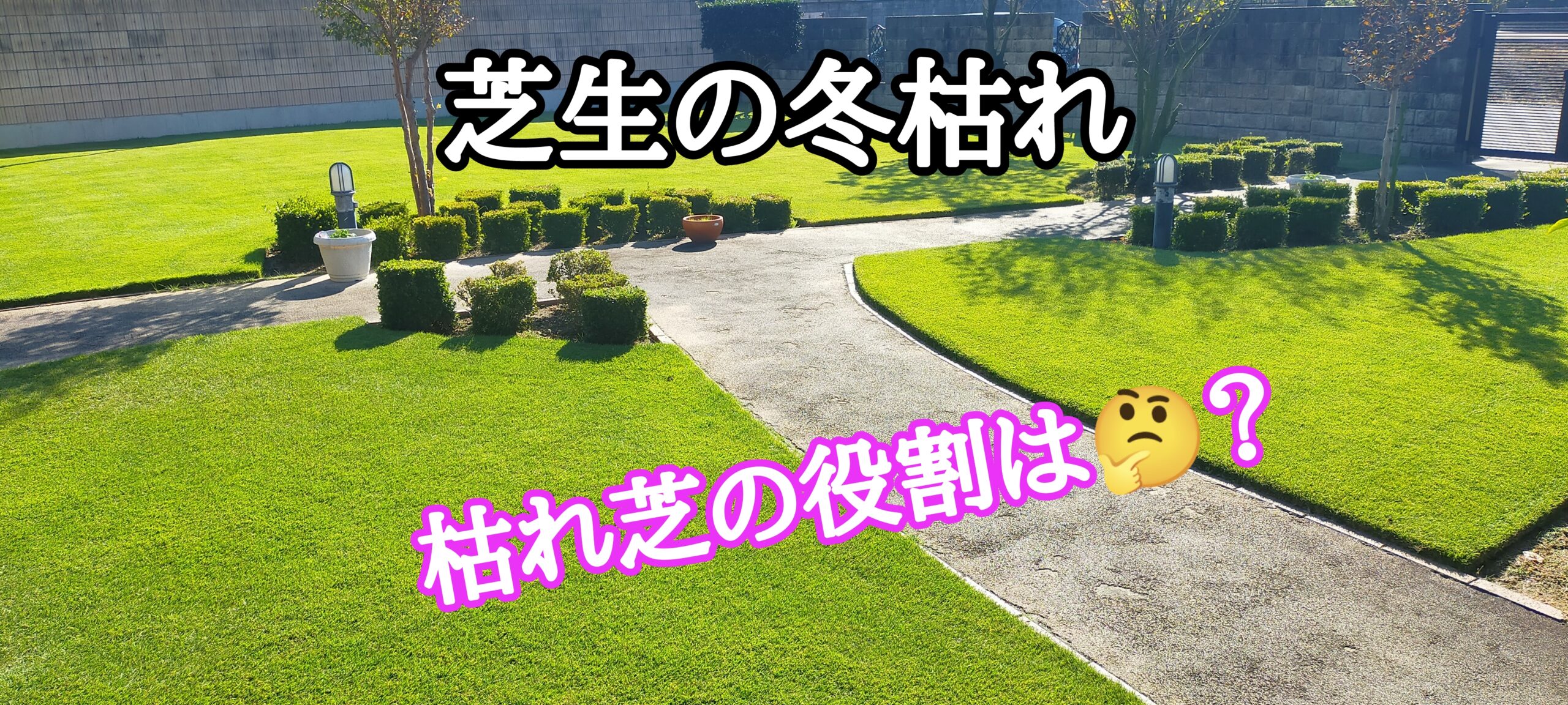 芝生の冬枯れ【stand.fm】