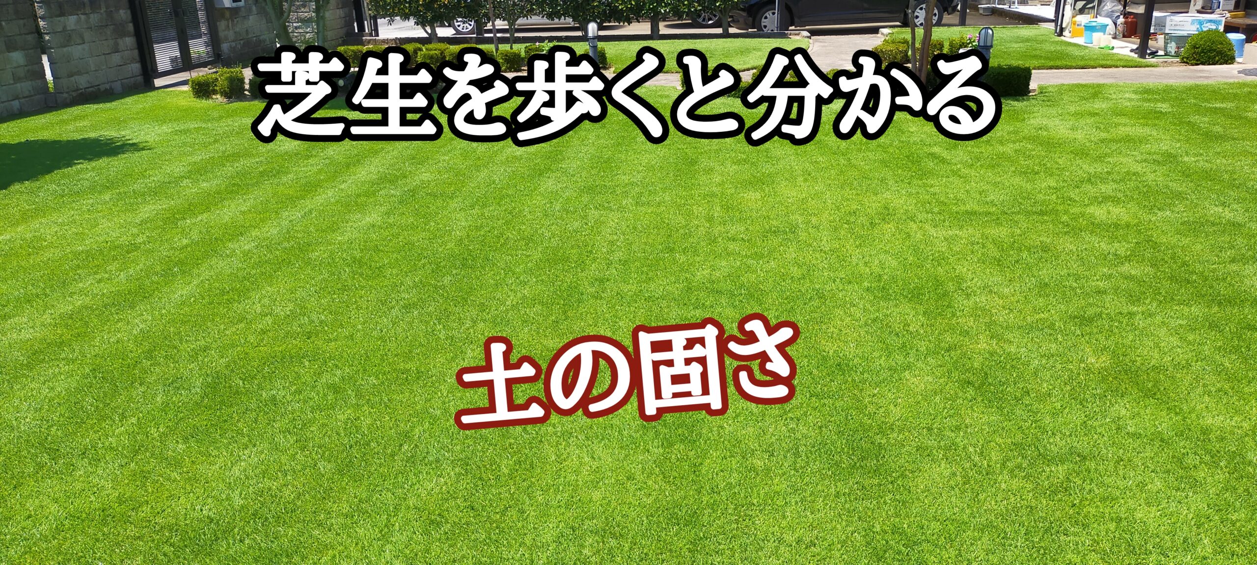 芝生を歩くと分かること【stand.fm】