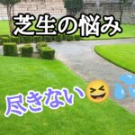 芝生の悩みは尽きない【stand.fm】