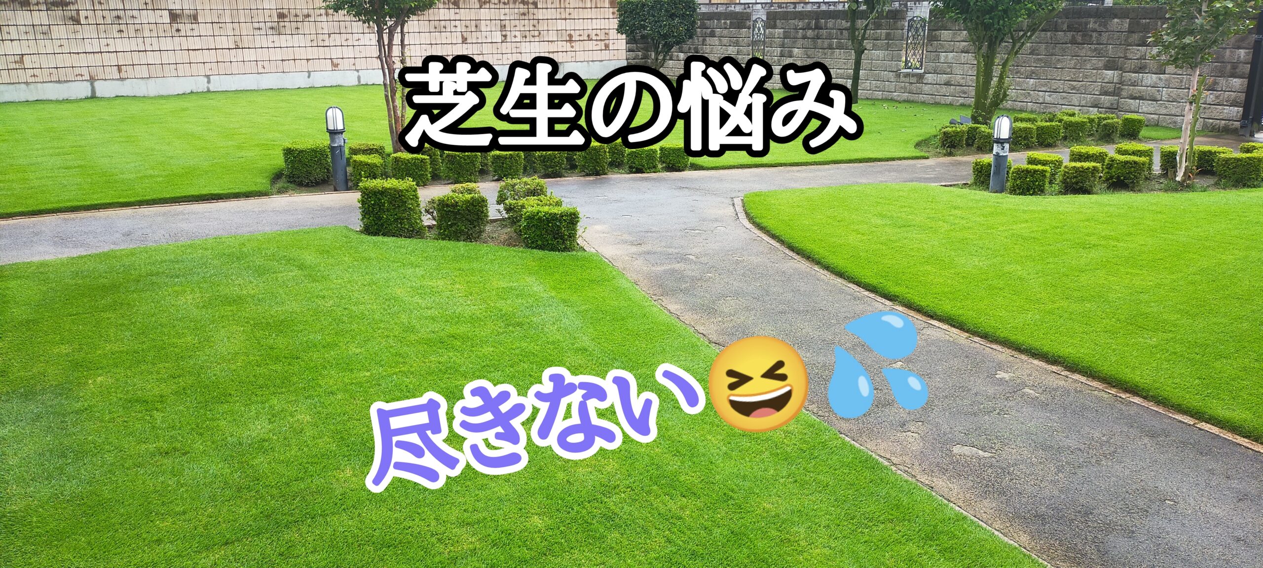 芝生の悩みは尽きない【stand.fm】