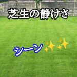芝生の静けさ【stand.fm】