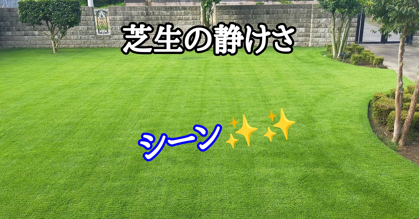 芝生の静けさ【stand.fm】