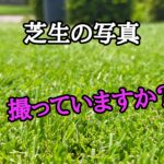 芝生の写真撮っていますか【stand.fm】