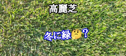 ［Q&A］冬に緑の高麗芝？【stand.fm】