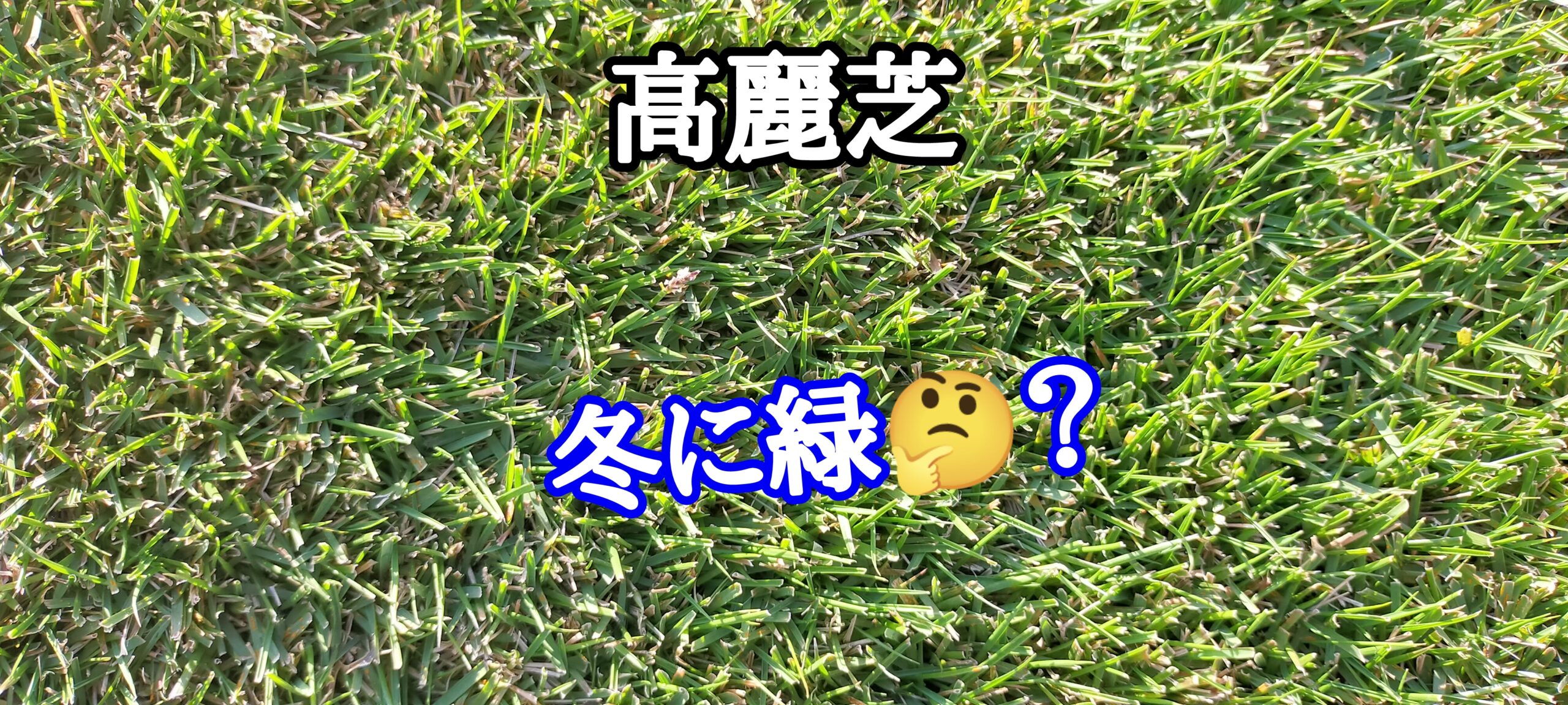 ［Q&A］冬に緑の高麗芝？【stand.fm】