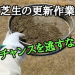 チャンスを逃すな!すぐに芝生の更新作業を始めよう【stand.fm】