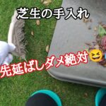 芝生の手入れ先延ばしにしていませんか【stand.fm】