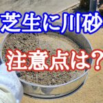 芝生に川砂を撒いたら注意すべきこと【stand.fm】