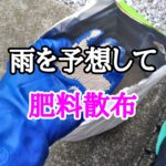 雨を予想して肥料散布【stand.fm】