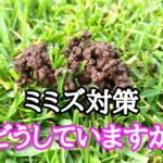 ミミズ対策どうしていますか【stand.fm】