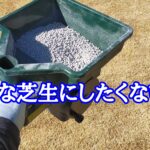 軟弱な芝生にしたくない【stand.fm】
