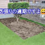 芝張りの適期ですよ【stand.fm】