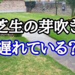 芝生の芽吹き!遅れているところありませんか【stand.fm】